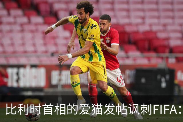 比利时首相的爱猫发帖讽刺FIFA：“红牌？”我照样继续踢！